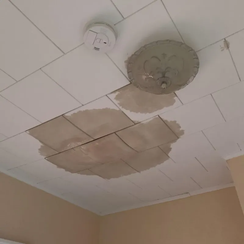 Ceiling Water Damage Repair in Wenham, MA
